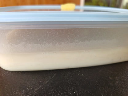 Live Microworm Culture Starter Kit