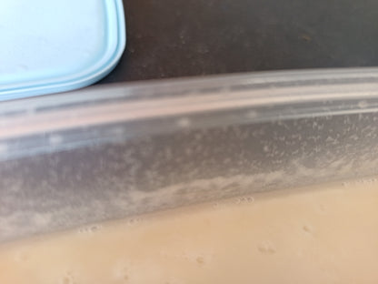 Live Microworm Culture Starter Kit