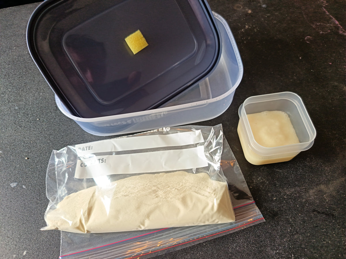 Live Microworm Culture Starter Kit